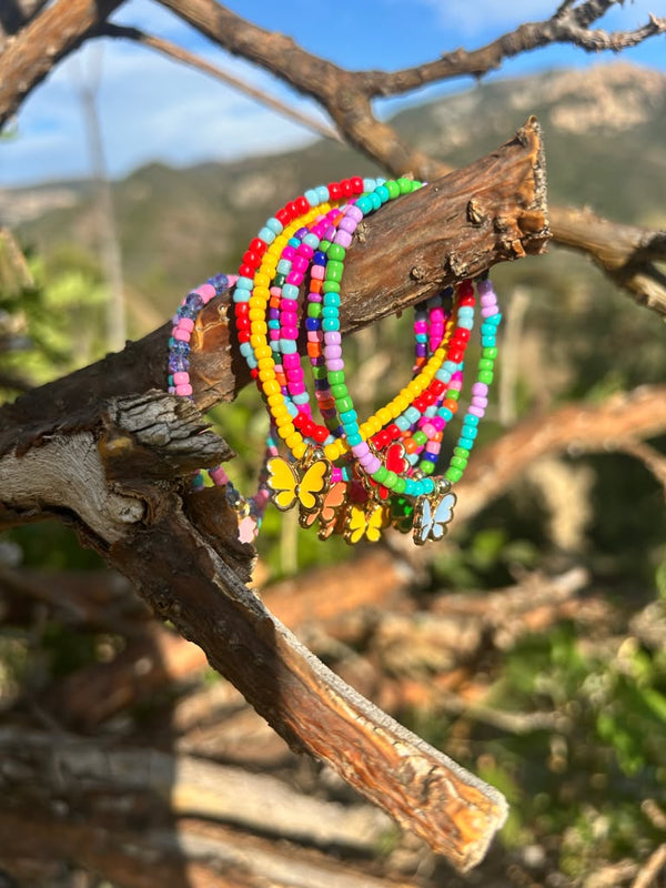 Flutter Collection