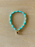 Fish / Turquoise